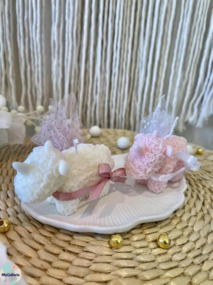 εικόνα_Viber_2024-03-05_10-01-01-134